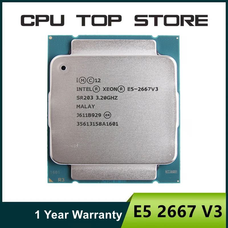 معالج Intel Xeon E5 2667 V3 3. - مراجعة Gold 6248R وسعره